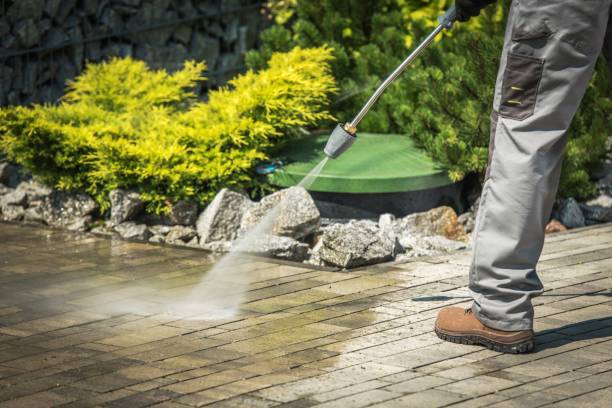 Best Gutter Cleaning  in Cedar Ridge, CA